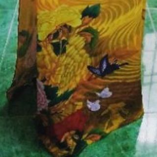 BỘ Áo Dài LỤA 3D