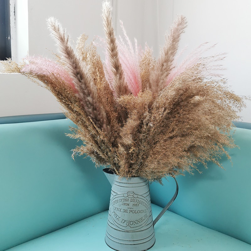 Bình tưới cây bằng kim loại mạ kẽm trang trí nhà cửa