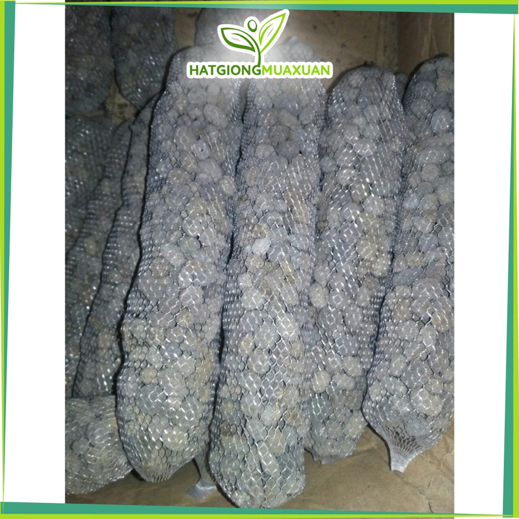 [SIEURE] combo 10 túi Phân dê đã sử lý, phơi khô, đóng túi lưới 20cm hàng đẹp, phân phối chuyên nghiệp.