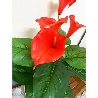 Cây giả decor - Cây hoa rum 80cm