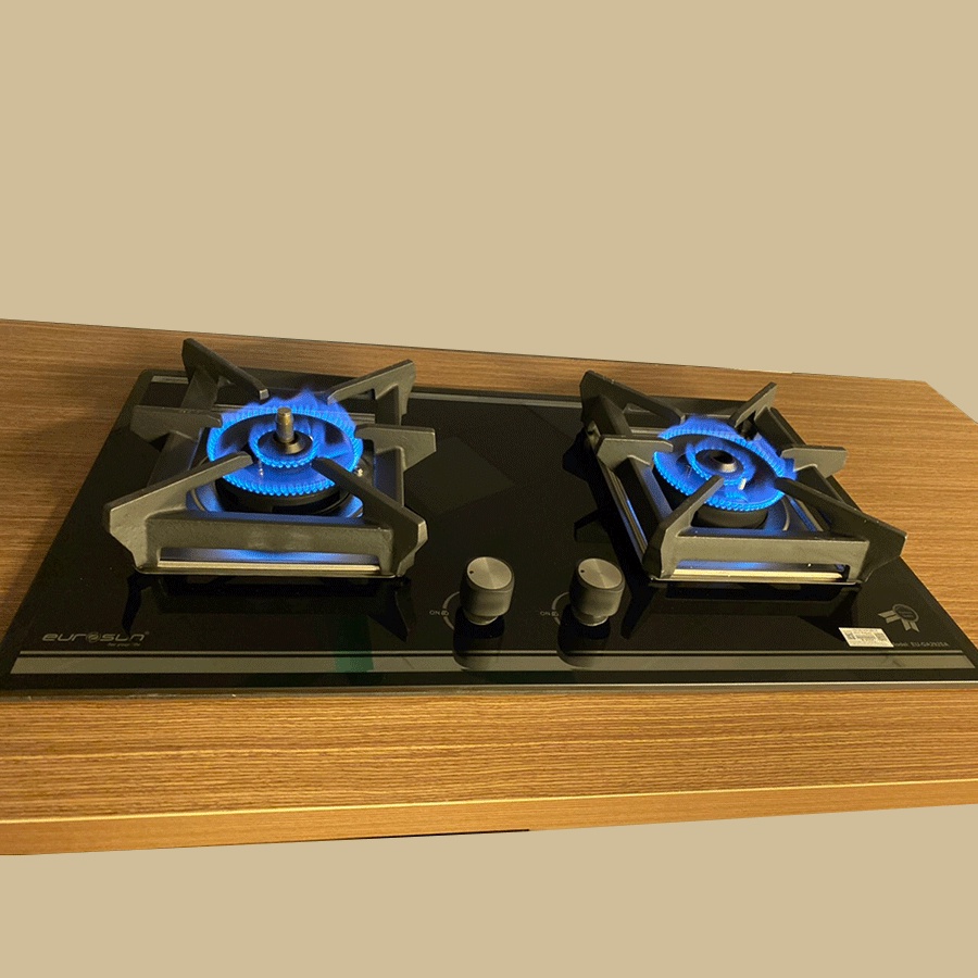 Bếp ga âm Eurosun EU-GA292SA