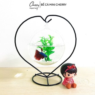 Hồ cá mini trái tim 26 CỠ TO để bàn ( Tặng kèm combo phụ kiện trang trí )