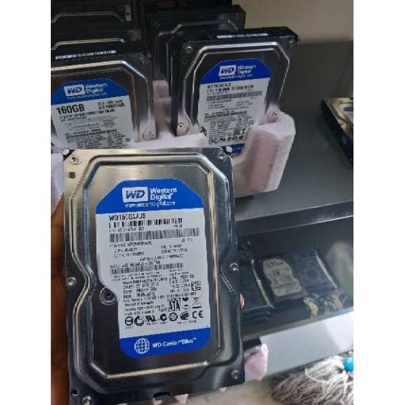 Ổ Cứng Ngoài 160gb Wd Sata Pc | BigBuy360 - bigbuy360.vn