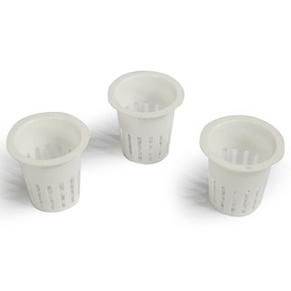 Rọ trồng rau thủy canh Thái Lan (100 rọ)