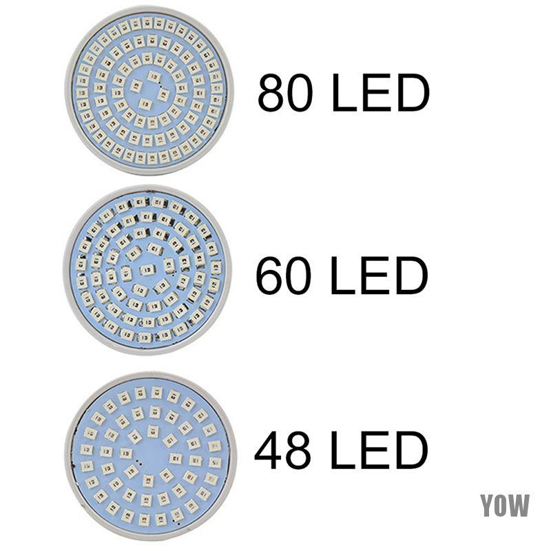 Đèn Led Trồng Cây E27 48 / 60 / 80 220v