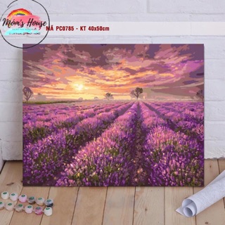 TRANH TÔ MÀU THEO SỐ  💕CHUẨN MÀU 💕 CÁNH ĐỒNG LAVENDER KHUNG DÀY PC0785