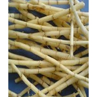 1Kg Rễ cỏ tranh khô