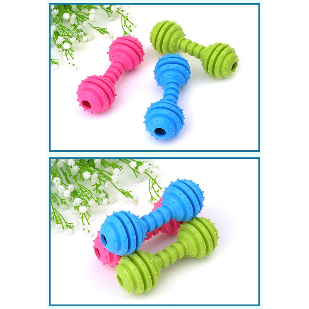 Đồ chơi xương gặm cho chó