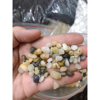 (Siêu Rẻ) Sỏi 3 màu trang trí tiểu cảnh,sân vườn,trải nền bể cá cảnh (1kg)