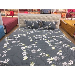 HAVICO CHÍNH HÃNG + SÉT VỎ CHĂN, GA, GỐI Blue Sky Cotton T – DL157 ( VỎ CHĂN + GA CHUN + VỎ GỐI)
