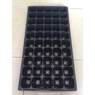Khay ươm hạt giống 40 lỗ loại tốt