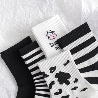 Set tất bò sữa cổ cao 5 đôi