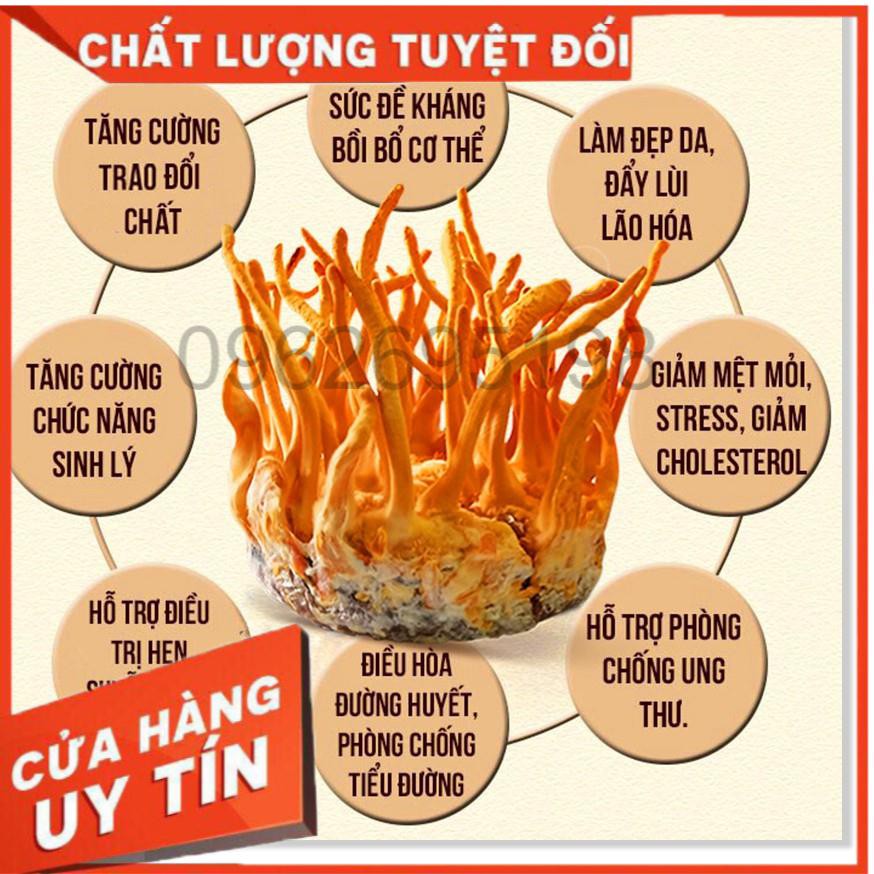 Hoa đông trùng hạ thảo Hàn Quốc lọ 45g