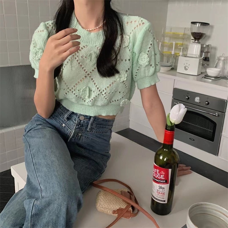Áo Sweater Dệt Kim Tay Ngắn Cổ Tròn Thiết Kế Lỗ Lưới Thêu Họa Tiết Thời Trang Mùa Hè Mới Cho Nữ