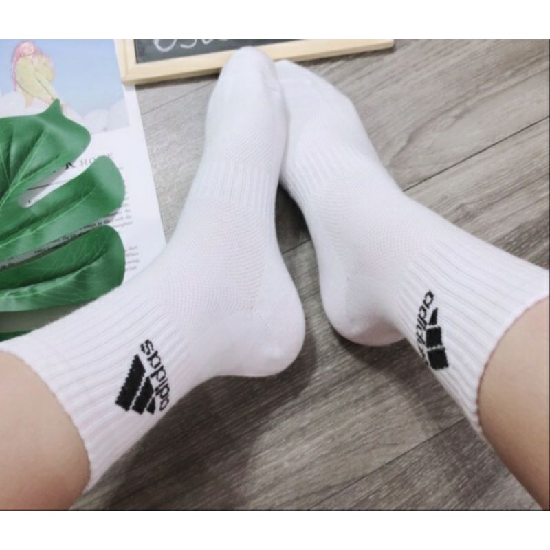 [Mã FAGREEN245 giảm 10% tối đa 30K đơn 99K] TẤT , VỚ CAO CỔ _ HÀNG CAO CẤP | BigBuy360 - bigbuy360.vn