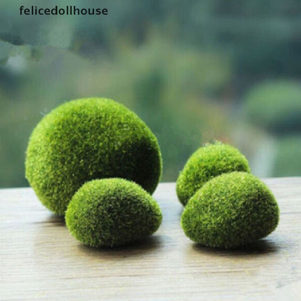 Đá Cỏ Marimo Nhân Tạo Mini Trang Trí Vườn Thần Tiên Terrarium