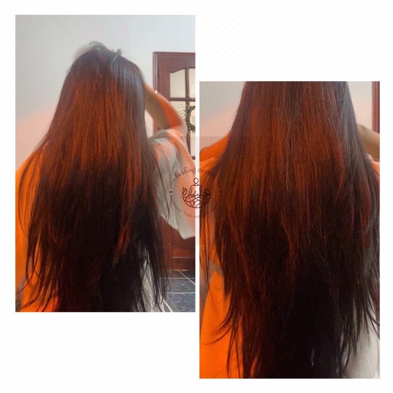 Dầu gội 100% thảo mộc Bồ Kết cô đặc - Organic shampoo - Healing Corner