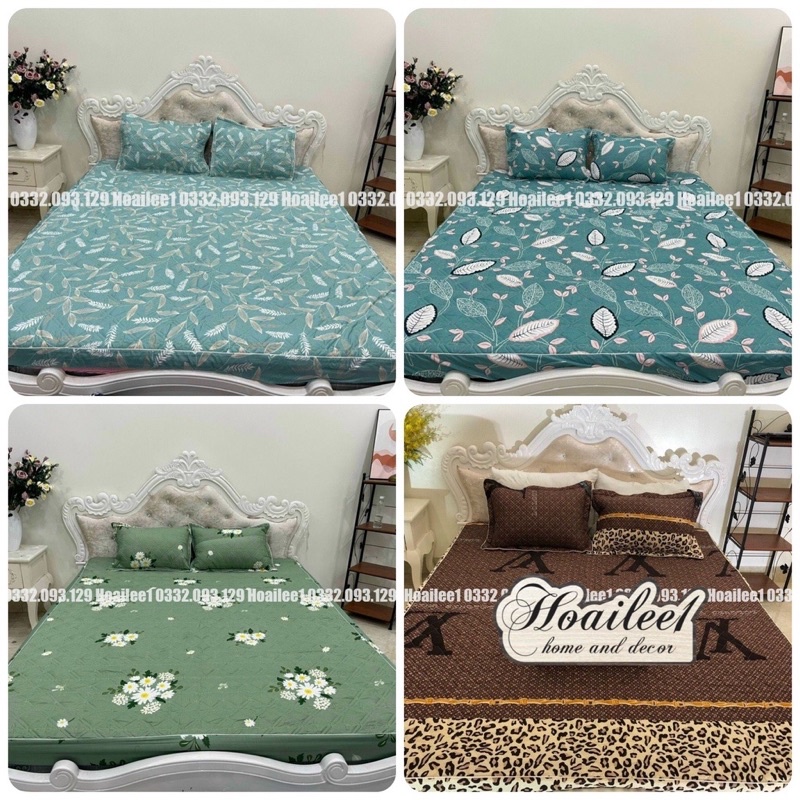 Ga Giường và 2 vỏ gối Trần bông 3 lớp Cotton poly hàng loại 1 ( được chọn mẫu )