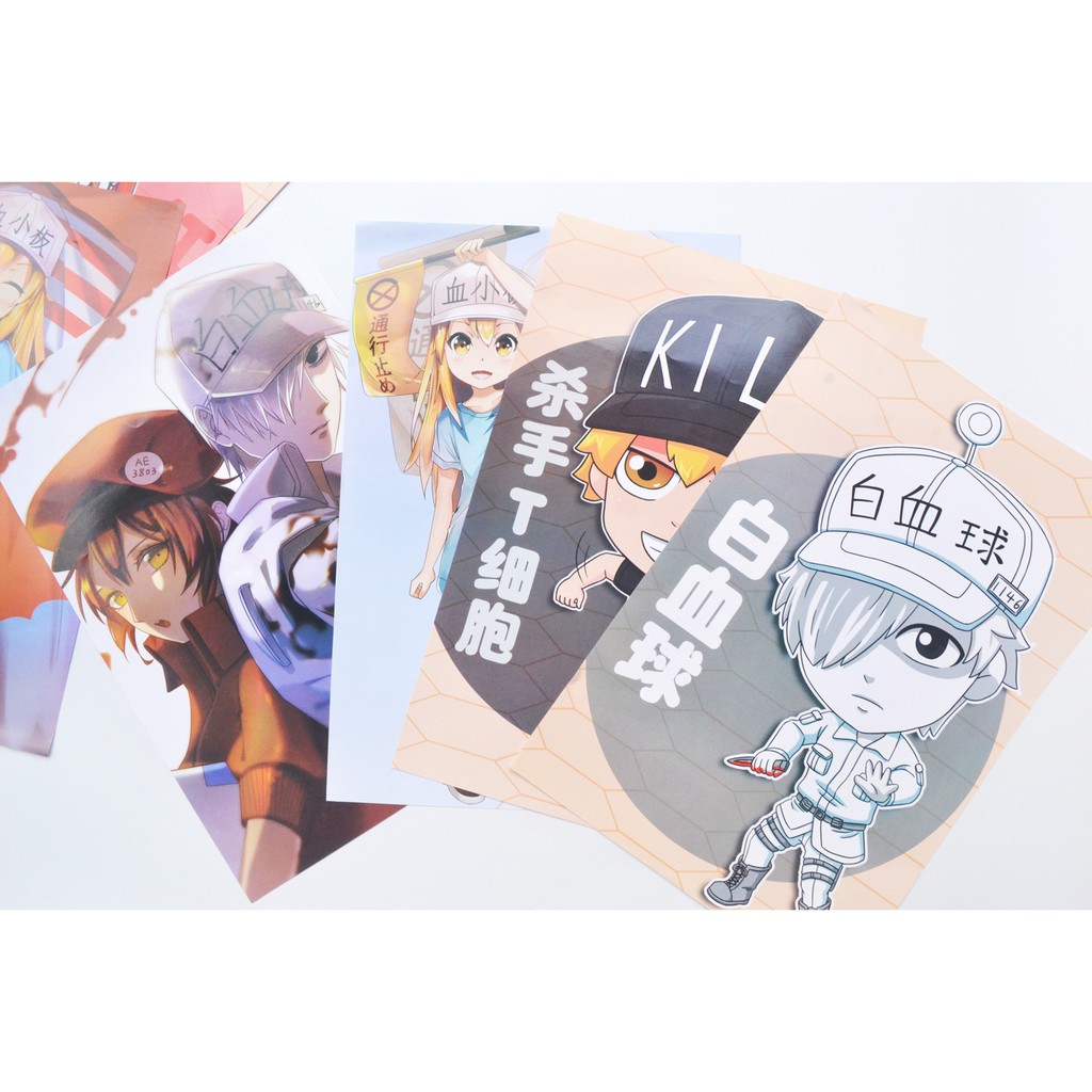 Bộ 8 tấm poster Anime - Hataraku Saibou