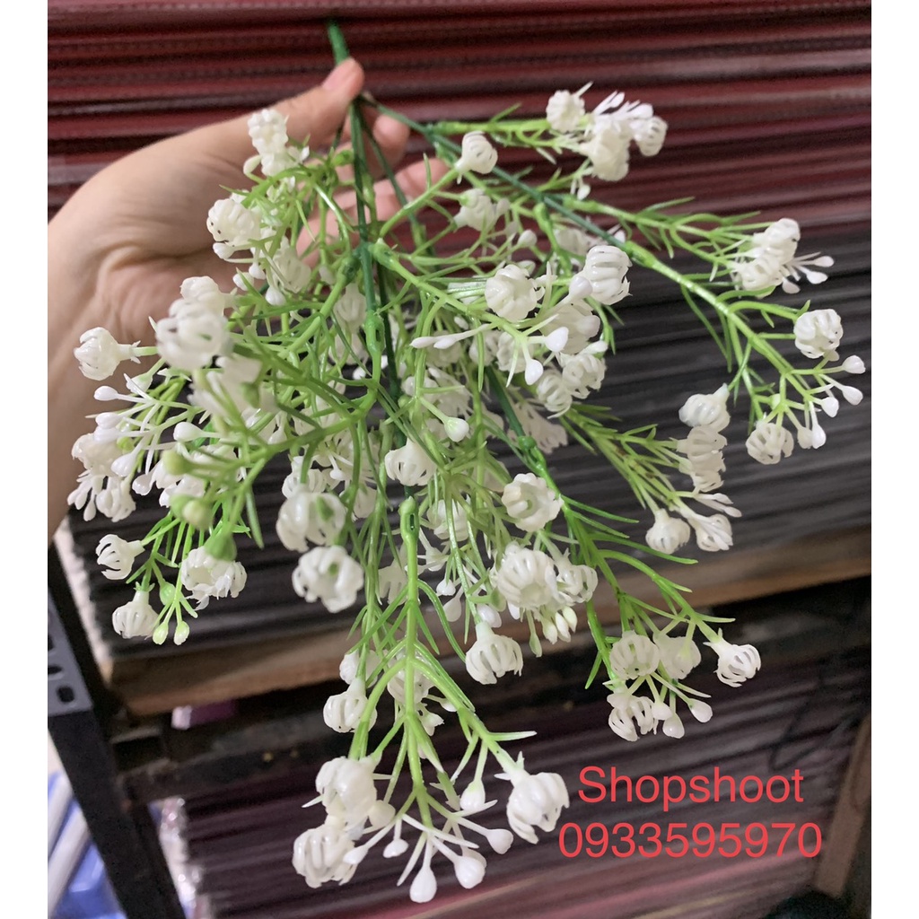 HOA Baby NHỰA DÙNG TRANG TRÍ
