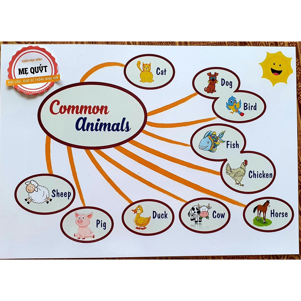 Mind Map Sơ Đồ Tư Duy & Vòng Đời- Giúp Bé Phát Triển Tư Duy Nhanh Nhạy - ÉP PLASTIC Bền Chắc Chắn