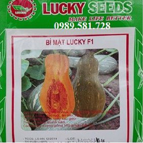 Hạt Giống Bí Mật - Bí Ngô Mật LUCKY SEED - Mỗi Túi 2 Gam.