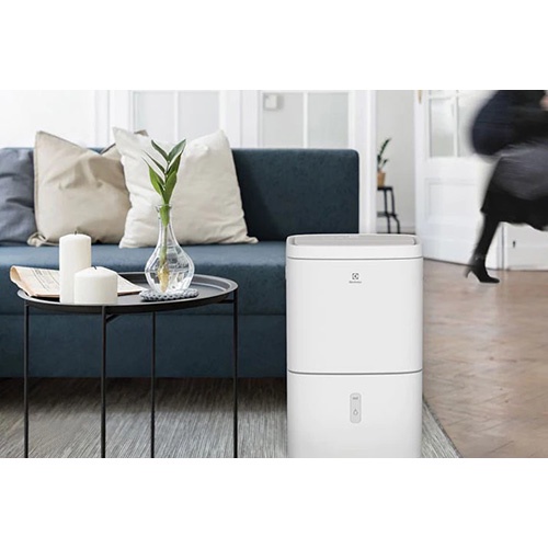 Máy tạo ion và hút ẩm Electrolux EDH10TRBW1