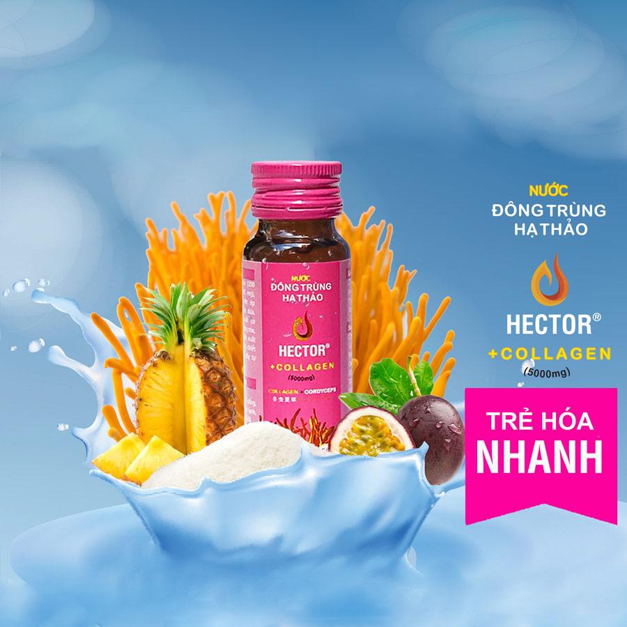 (DATE MỚI) Đông trùng hạ thảo Hector Collagen 5000mg (50 ml x 20 chai)