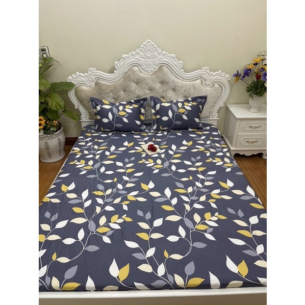 Bộ ga giường và vỏ gối cotton 100%, ga chun đủ size nệm, bán lẻ ga, vỏ chăn