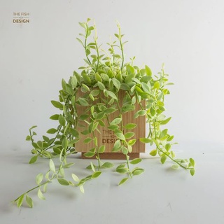 Chậu cây hạt dưa | THE FISH SIZE M ( trang trí trong nhà, để bàn làm việc,...)