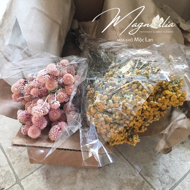 Đạo cụ chụp ảnh sản phẩm ❤️FREESHIP❤️ Hoa khô trang trí cúc Globe Amaranth, cắm kèm hoa lụa đẹp