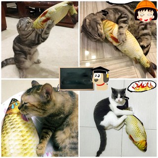 [RẺ VÔ ĐỊCH] Đồ Chơi Cá Chép Nhồi Bông 3D Chất Xịn Tặng Kèm Catnip Cho Chó Mèo Tập Nhai Siêu Xinh !