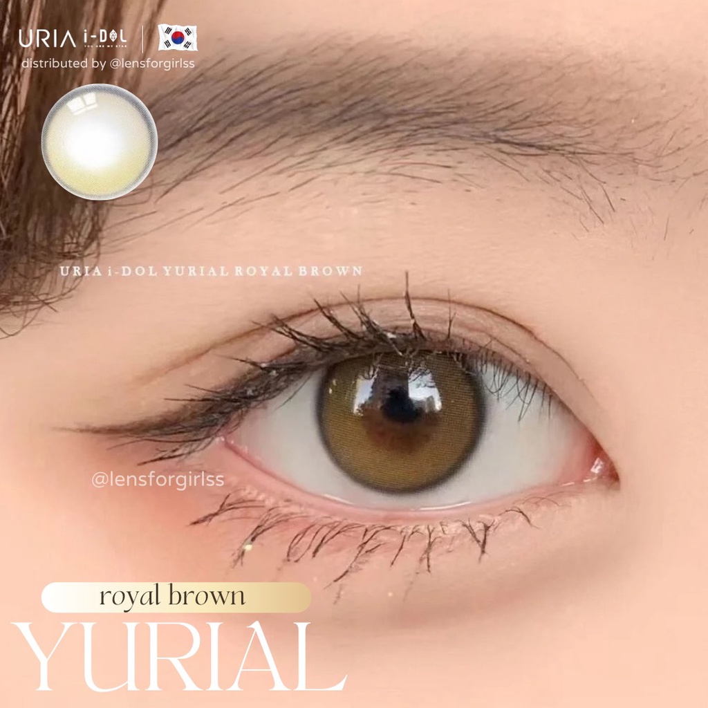 Kính áp tròng cao cấp hiệu ứng phủ bóng hot trend Yurial Royal Brown chính hãng IDOL LENS | HSD 8-12 tháng | Lens cận