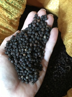 Tiêu nhà trồng Bình Phước