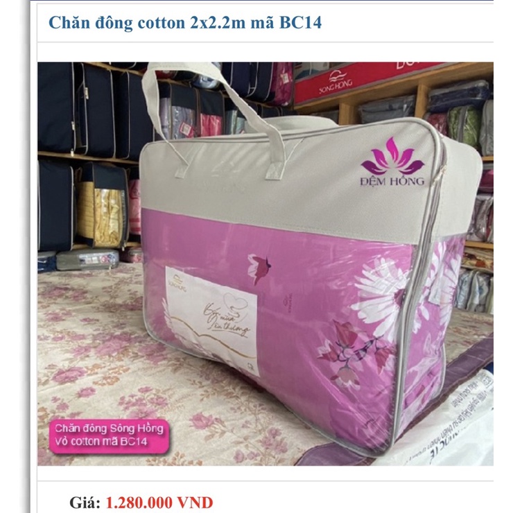 Chăn đông sông Hồng bông tinh khiết siêu chống khuẩn hàng chuẩn công ty sông hồng