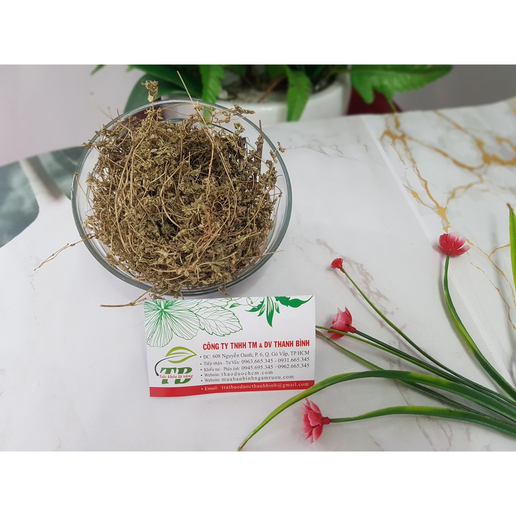 Cây Cỏ Sữa 100g - Thu Hái Hoàn Toàn Tự Nhiên | BigBuy360 - bigbuy360.vn