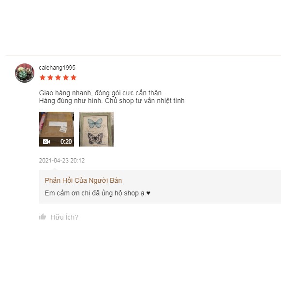 Khung ảnh nhựa phong cách cổ điển