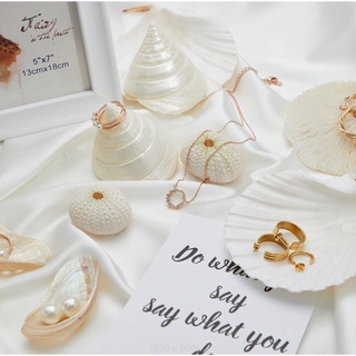 Con Sò Điệp, Ốc xà cừ, Nhím Biển chụp ảnh sản phẩm, đựng thức ăn, làm chuông gió