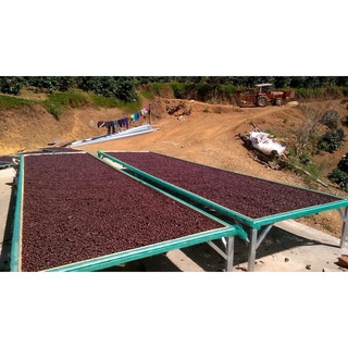 Combo cà phê nguyên chất VCU Coffee (Blend  + Drip Bag Aribica Coffee + Cà phê Ladies)