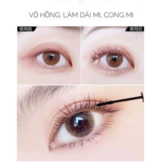 Mascara làm dày mi và dài mi vỏ matte lì Hold Live tự nhiên chống nước chống mồ hôi lâu trôi lọ 6g