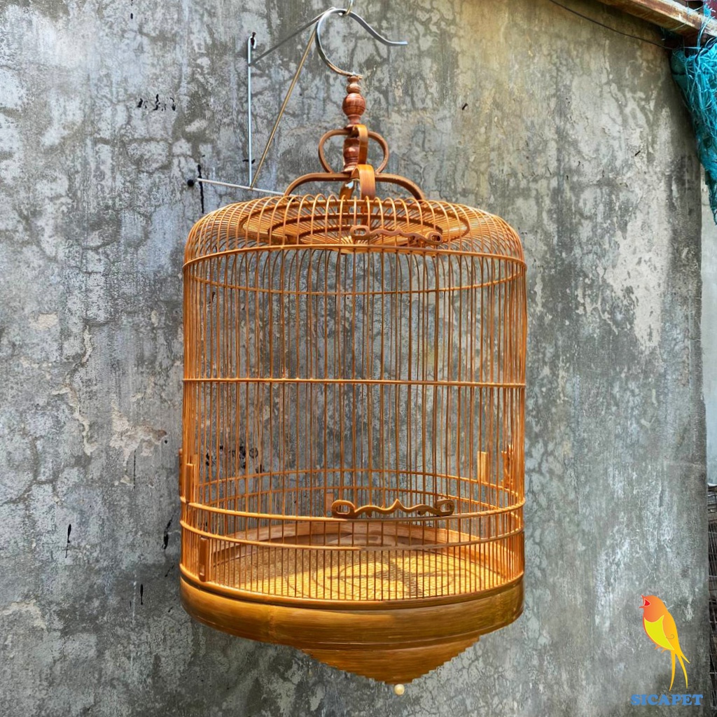 Lồng Chòe Than - Chòe Lửa , Lồng chim Chích Chòe đẹp SICAPET