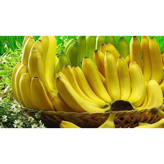 [HÀNG NHẬP NGOẠI] Phân Bón Lá Vi Lượng Chelate PROFARM TOPMICRO (2,5gr)
