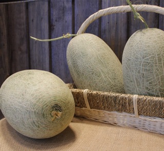 Hạt giống Dưa lưới Oval ruột đỏ