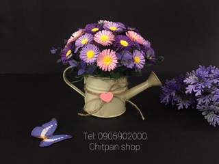 Chậu hoa thạch thảo giấy chitpan