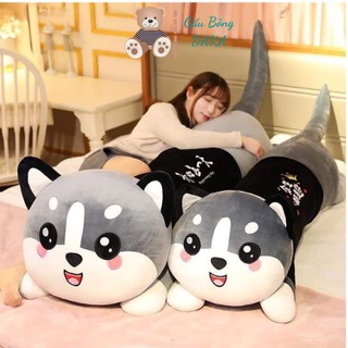 Gấu bông to mèo husky- gối ôm hình thú nhồi bông mèo husky đáng yêu - gối ôm mèo husky 1m5 - 1m2 - 1m