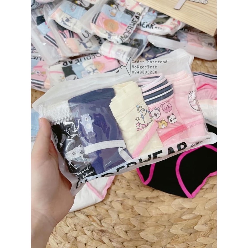 Set 5 Quần Lót Cotton Hình Cute Đóng Túi Zip