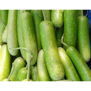 [ĐỒNG GIÁ 10K] HẠT GIỐNG RAU CỦ QUẢ CÁC LOẠI
