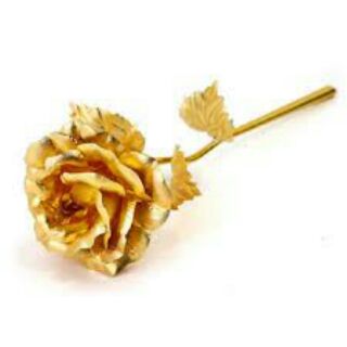 Hoa Hồng Mạ Vàng 24k ( Box Đẹp )