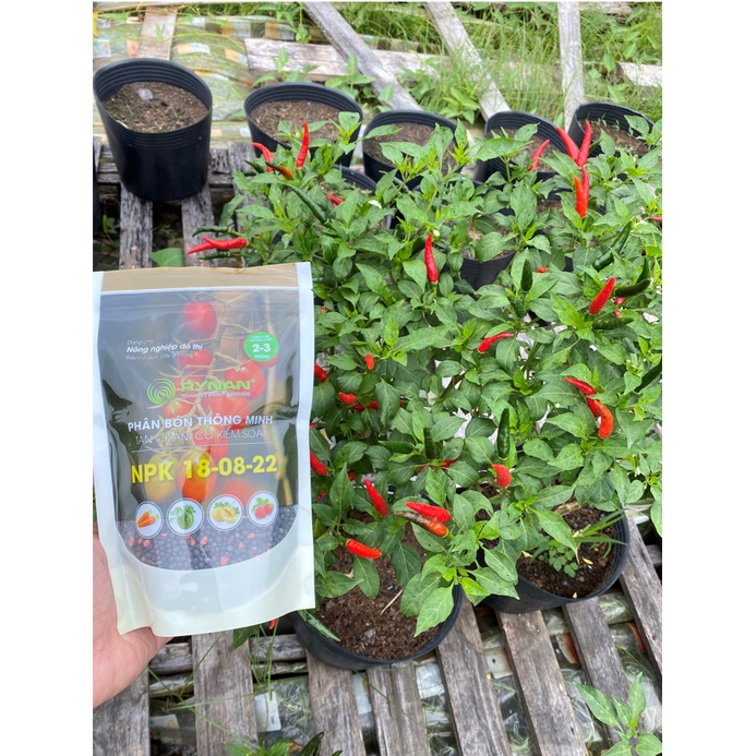 Phân Bón Tan Chậm Dùng Cho Nông Nghiệp Đô Thị  RYNAN® NPK 18-08-22