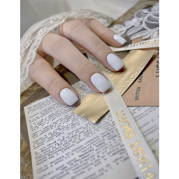 Set bìa cứng 3D + ren chụp ảnh nail